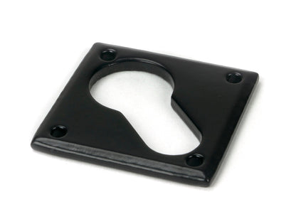 From The Anvil Diamond Euro Escutcheon