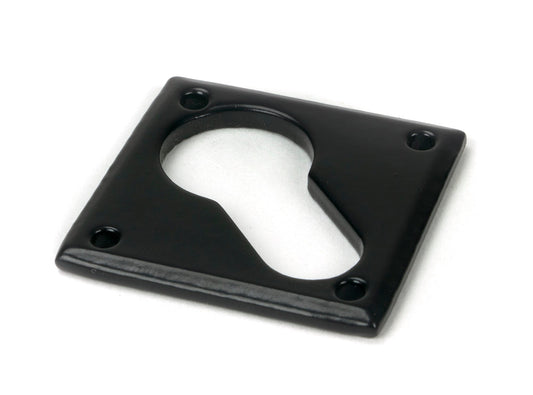 From The Anvil Diamond Euro Escutcheon