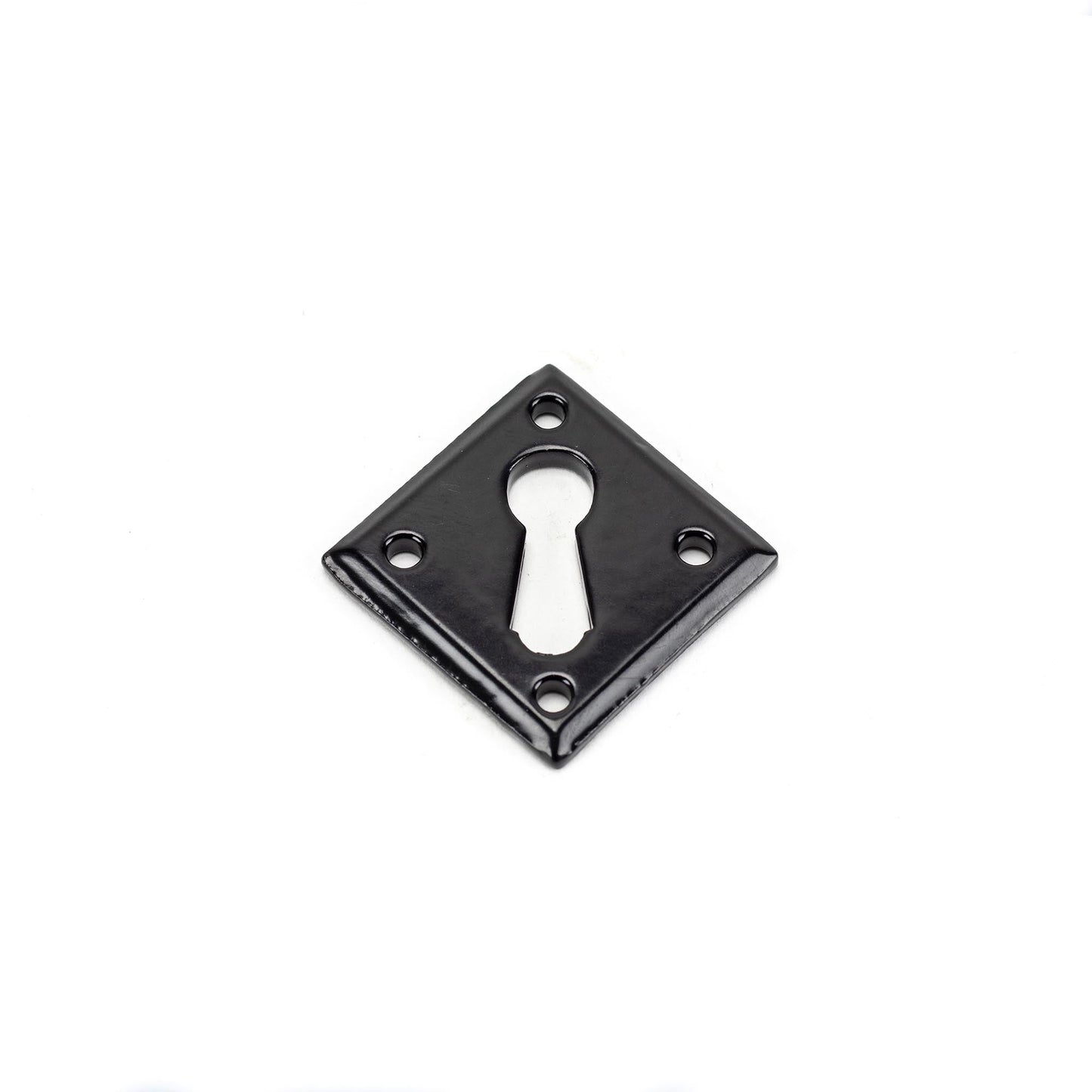 From The Anvil Diamond Escutcheon
