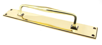 From The Anvil Art Deco Pull Handle On Backplate