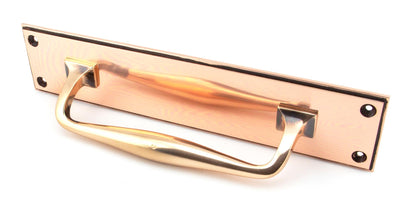 From The Anvil Art Deco Pull Handle On Backplate
