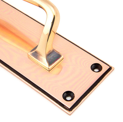 From The Anvil Art Deco Pull Handle On Backplate
