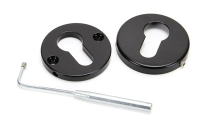 From The Anvil Regency Concealed Escutcheon