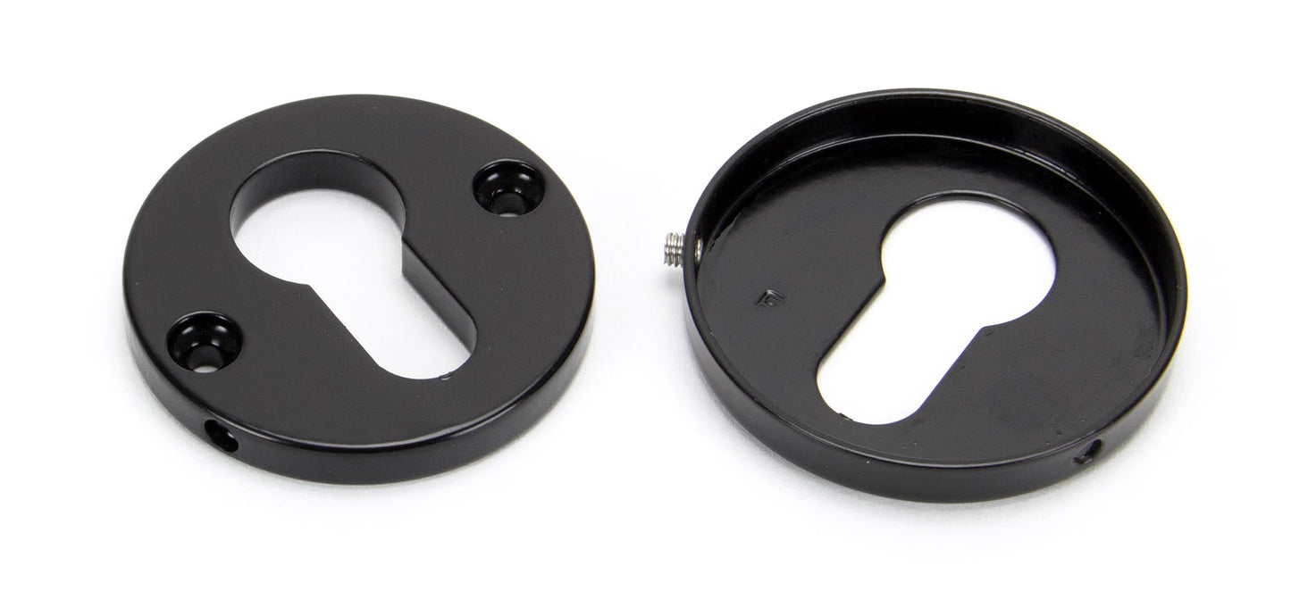 From The Anvil Regency Concealed Escutcheon