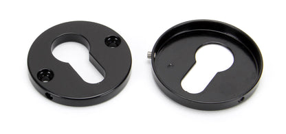 From The Anvil Regency Concealed Escutcheon
