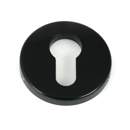 From The Anvil Regency Concealed Escutcheon