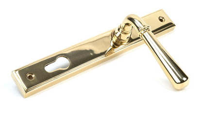 From The Anvil Newbury Slimline Lever Espag. Lock Set