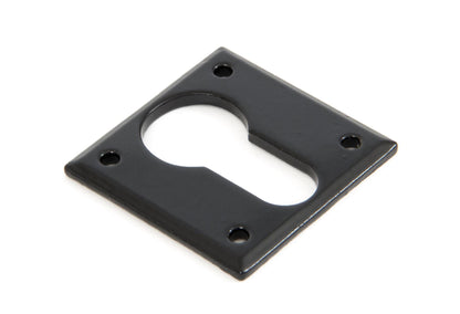 From The Anvil Avon Euro Escutcheon