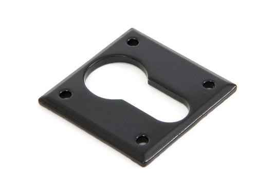 From The Anvil Avon Euro Escutcheon