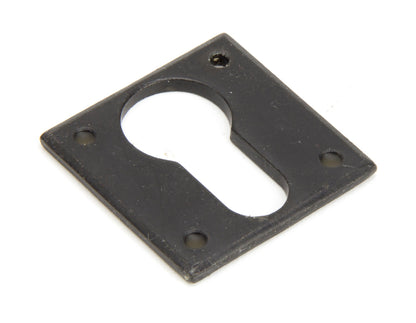 From The Anvil Avon Euro Escutcheon