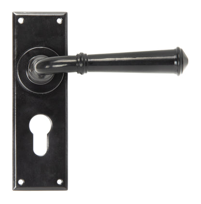 From The Anvil Regency Lever Euro Lock Set