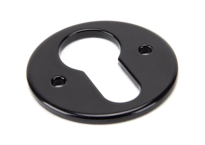 From The Anvil Regency Euro Escutcheon