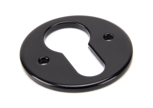From The Anvil Regency Euro Escutcheon
