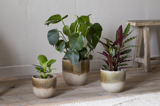 Nkuku Almeida Reactive Glaze Plant Pot Olive & Natural