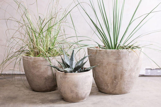Nkuku Affiti Clay Planter Medium
