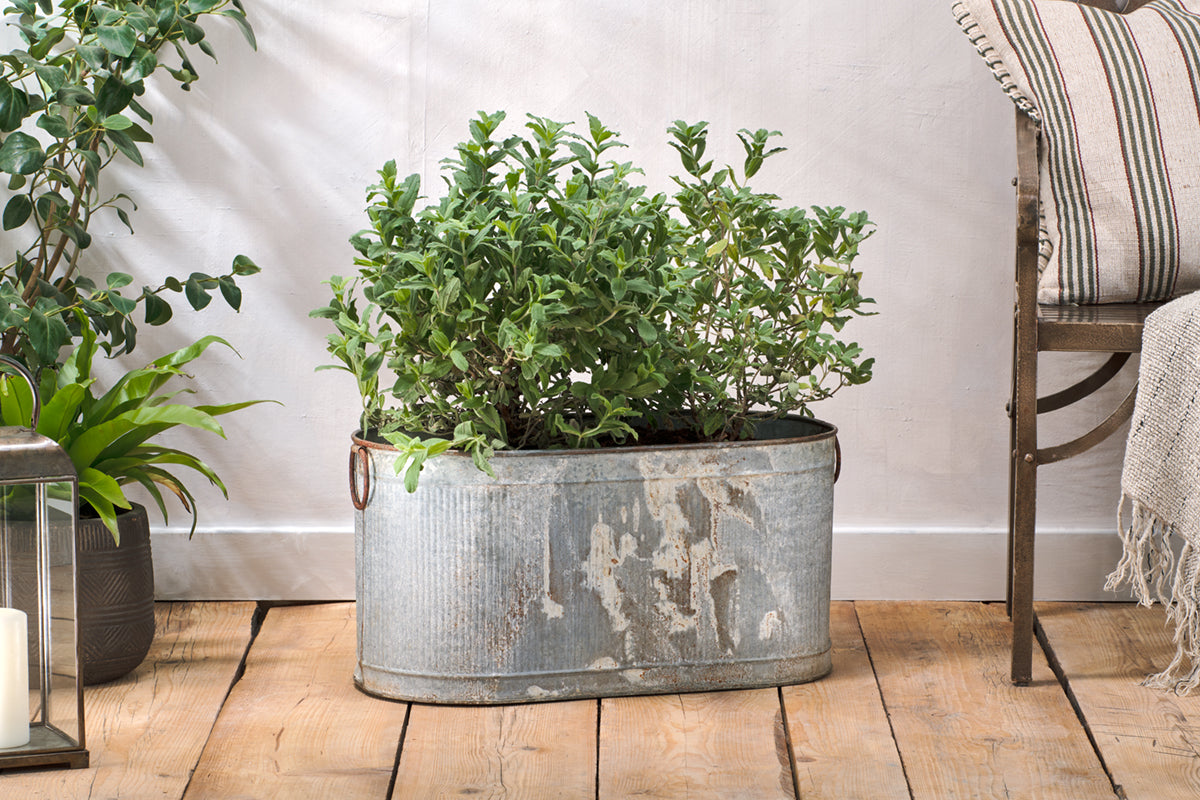 Nkuku Akasa Trough Planter Zinc