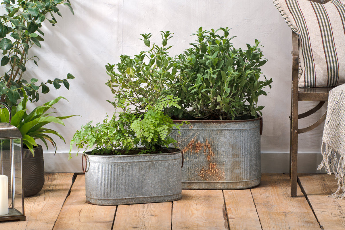 Nkuku Akasa Trough Planter Zinc