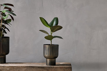 Nkuku Dasalla Planter Aged Brass