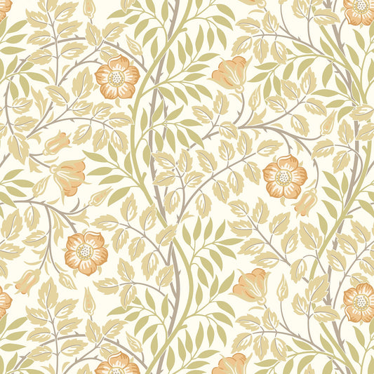 Hoopla Walls Rosehip Trail Soft Amber