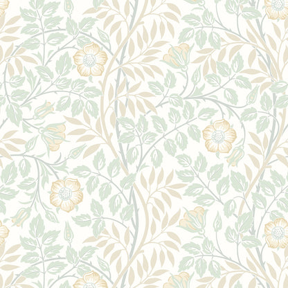 Hoopla Walls Rosehip Trail Soft Mint