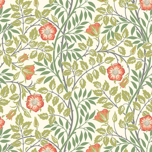 Hoopla Walls Rosehip Trail Coral Pink