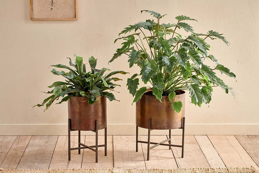 Nkuku Juoni Iron Planter