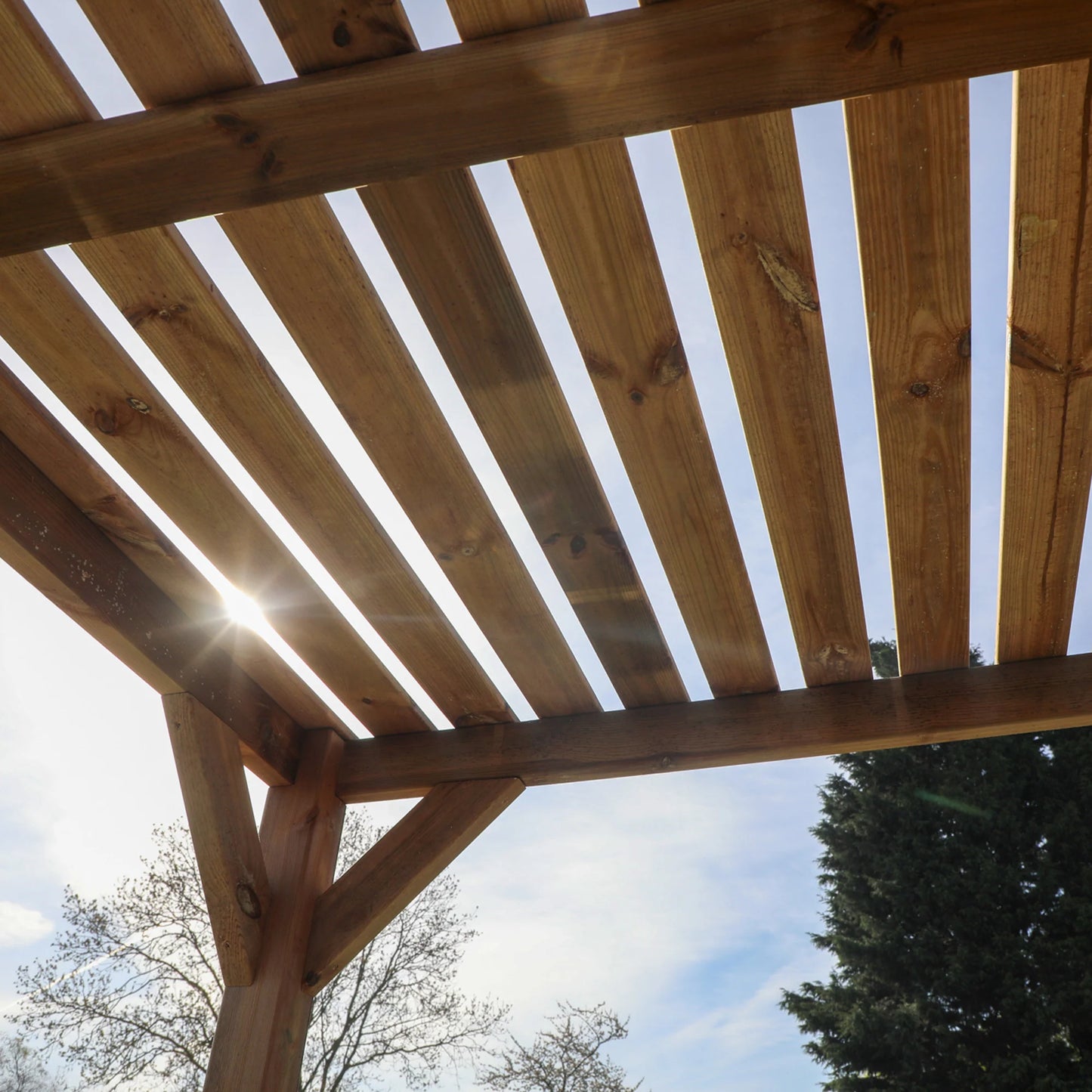 2m x 2m Pressure Treated Pergola