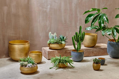 Nkuku Tembesi Etched Planter Antique Brass