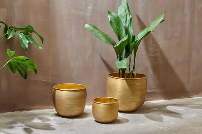 Nkuku Tembesi Etched Planter Antique Brass