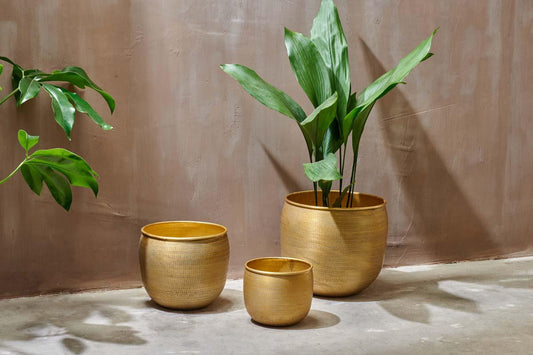 Nkuku Tembesi Etched Planter Antique Brass