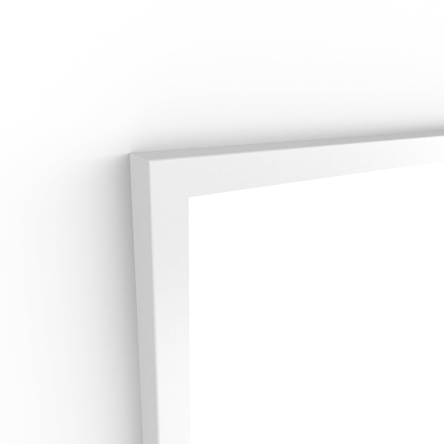 Origins Living Docklands Rectangular Mirror 40x70cm Matt White