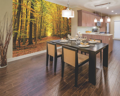 Origin Murals Autumn Forest Spice 350cm X 280cm
