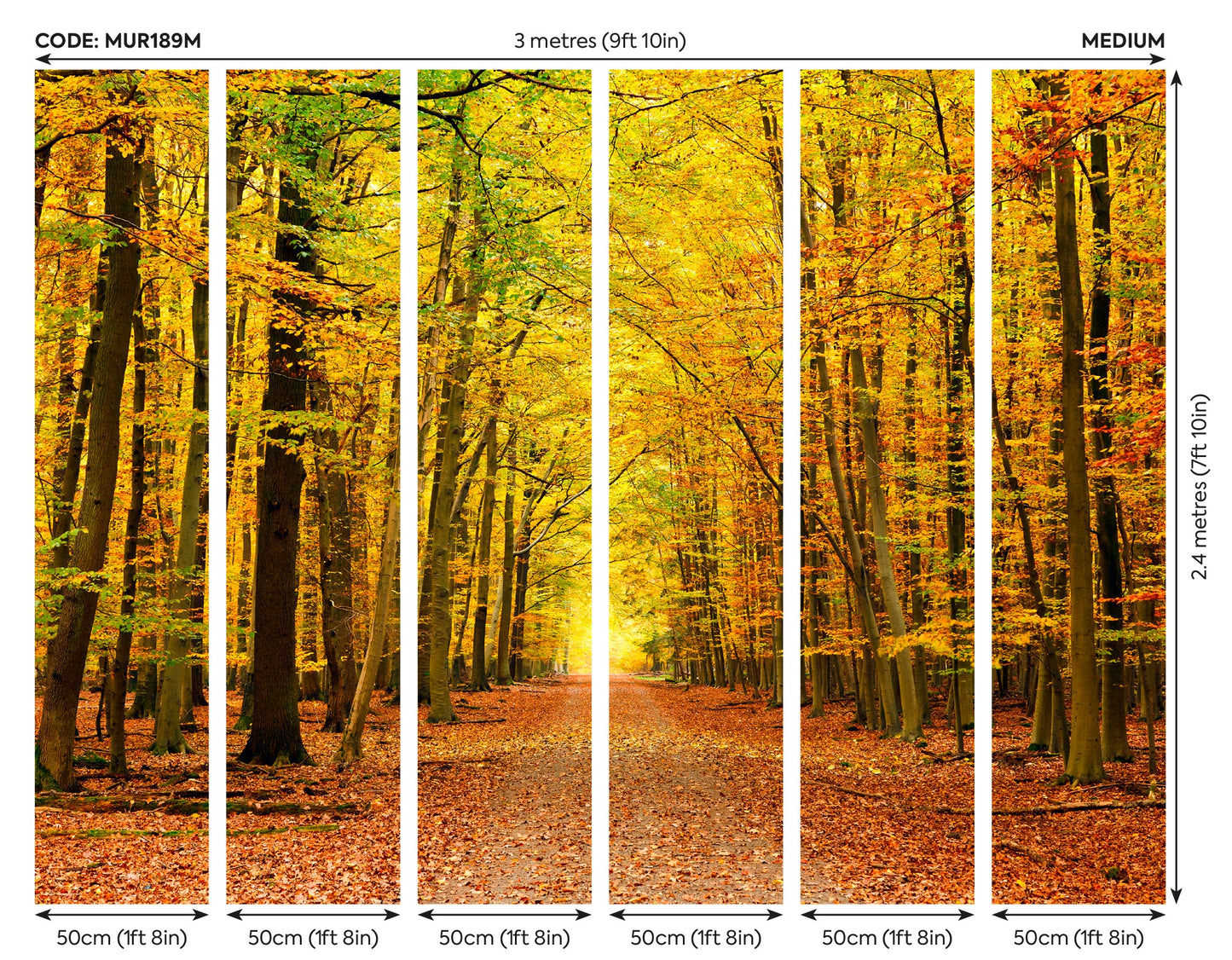 Origin Murals Autumn Forest Spice 300cm X 240cm