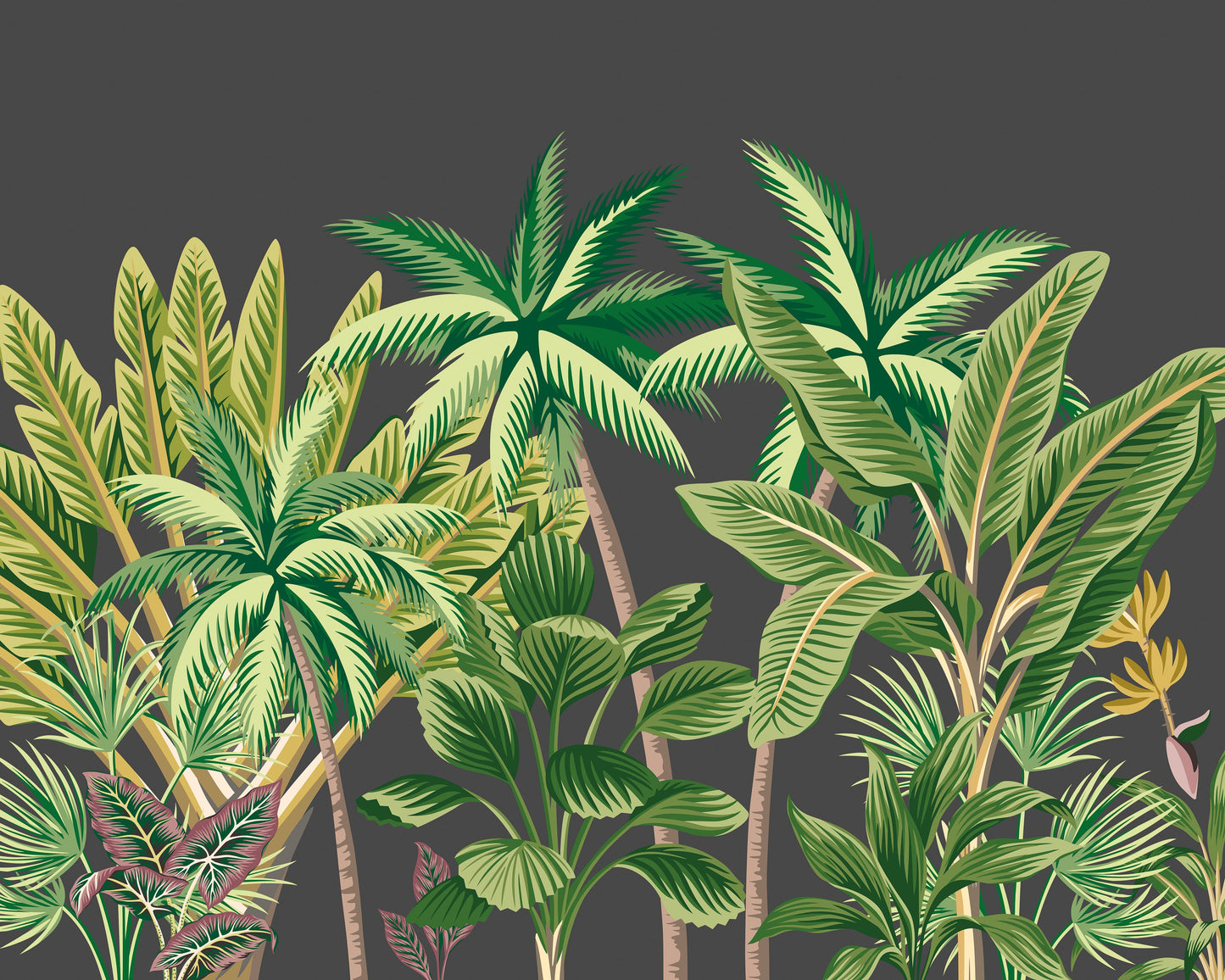Origin Murals Tropical Palm Trees Black 300cm X 240cm