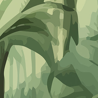 Origin Murals Jungle Trees Forest Green 350cm X 280cm