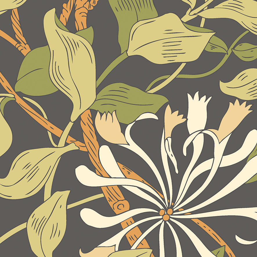 Origin Murals Honeysuckle Black And Olive Green 300cm X 240cm